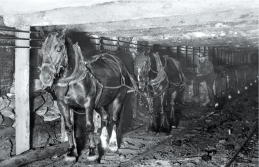 Screen Shot 2019-11-16 at 9.04.51 AM